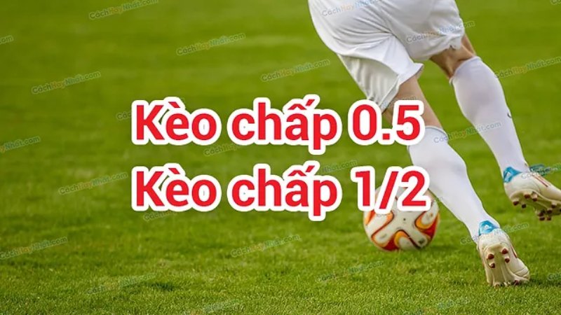 Cách đọc kèo chấp bóng đá 0.5 trái